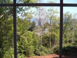 View from Master Bedroom window