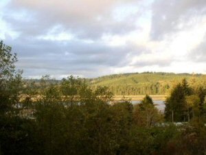 Deck View (Photo #1)