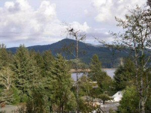 Deck View (Photo #2)