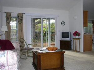 Living Room (photo #3)