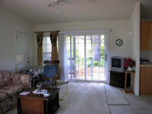Living Room (photo #3)